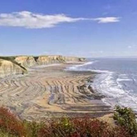 1-Bed Cottage On Coastal Pathway In South Wales Gileston Ngoại thất bức ảnh